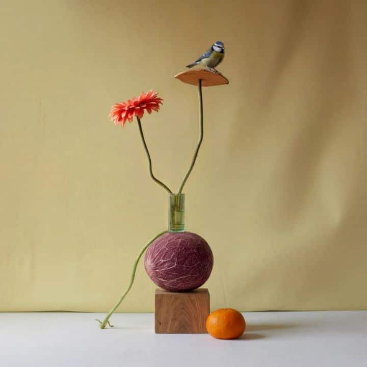 Balance 02