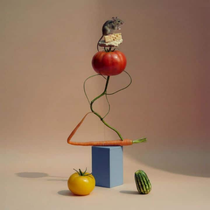 Balance 08