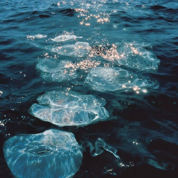 Dreamscapes 06
