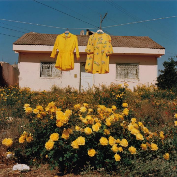 Yellow Vibes 09