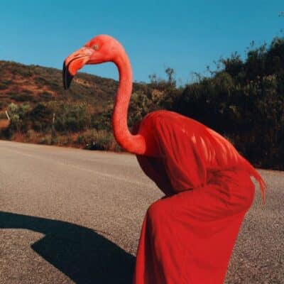 Red Dreams 04