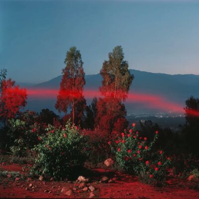 Red Dreams 11