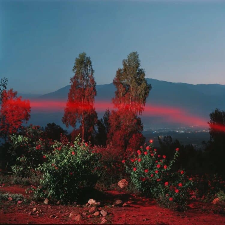 Red Dreams 11
