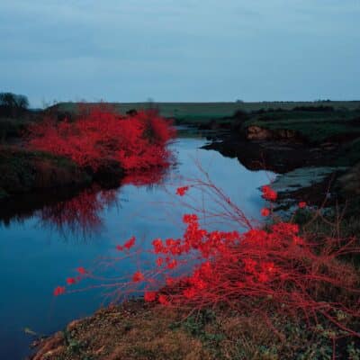 Red Dreams 07