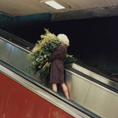 Floral Ascent 01