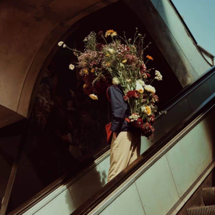 Floral Ascent 02