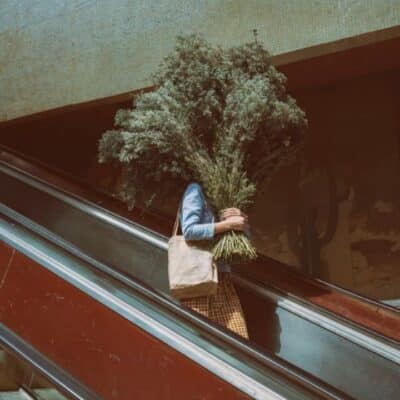 Floral Ascent 03
