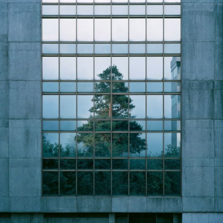 The Disappearing Act 04