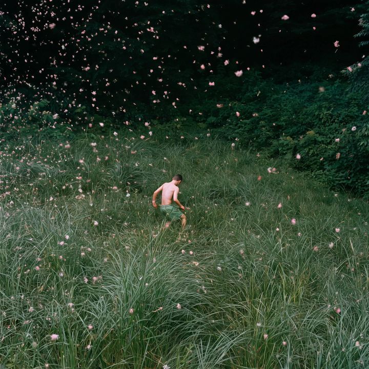 Dreamscape Heart 07