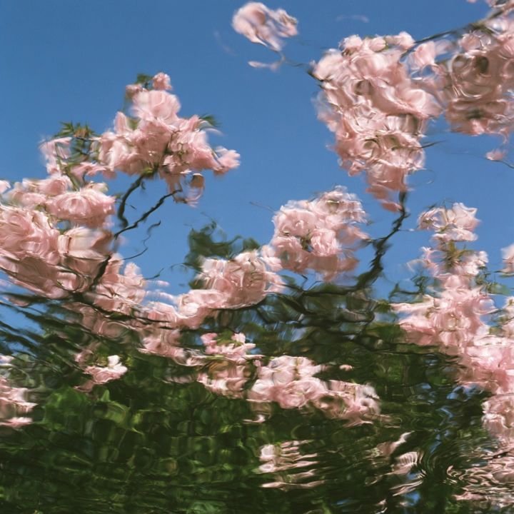 Pink is a place 03