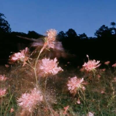 Pink is a place 07