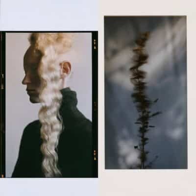 Botanical Doppelgängers 11