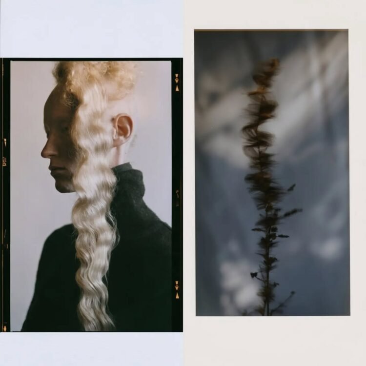 Botanical Doppelgängers 11