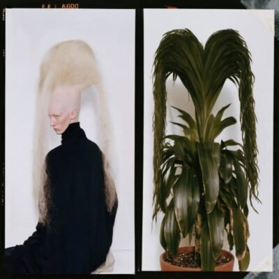 Botanical Doppelgängers 12