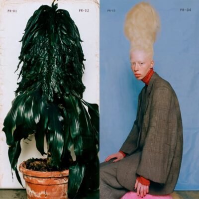 Botanical Doppelgängers 04