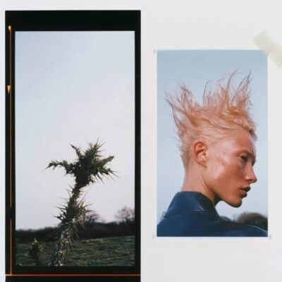 Botanical Doppelgängers 15