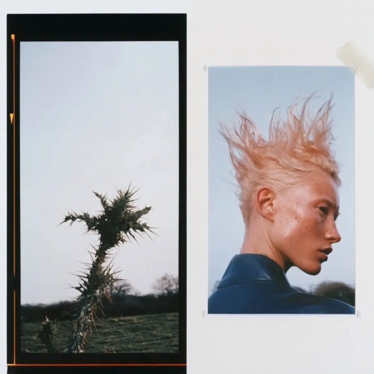 Botanical Doppelgängers 15
