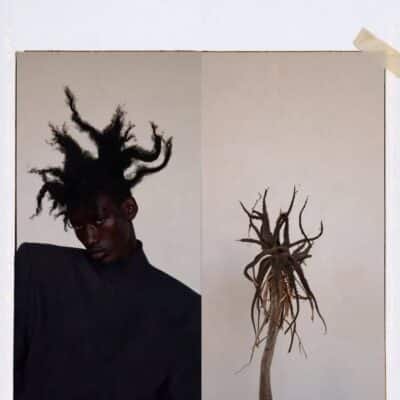 Botanical Doppelgängers 08