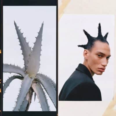 Botanical Doppelgängers 07