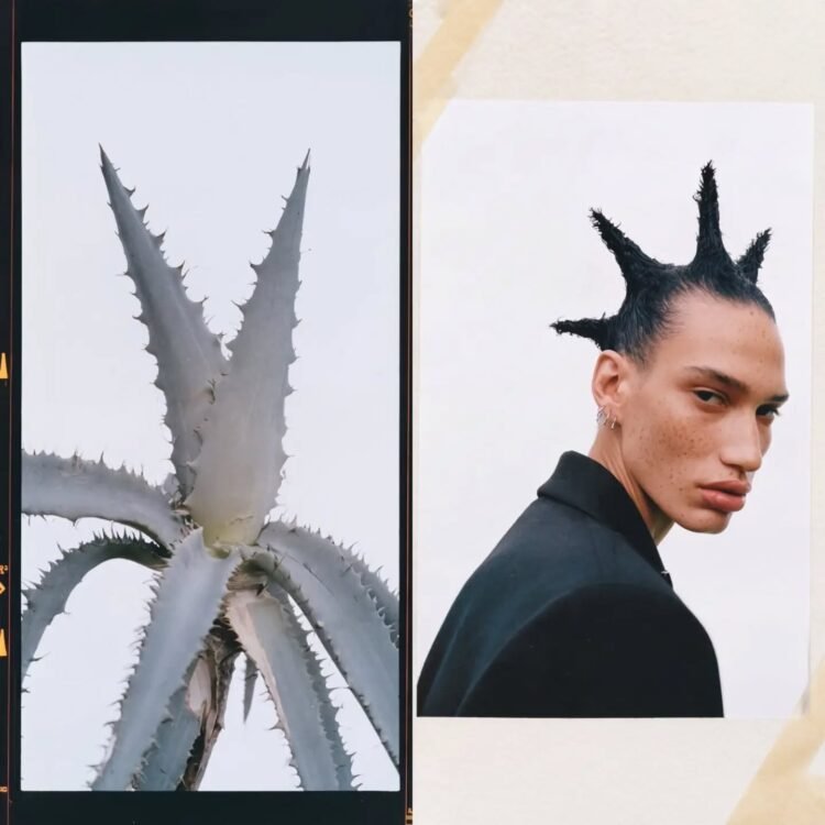 Botanical Doppelgängers 07