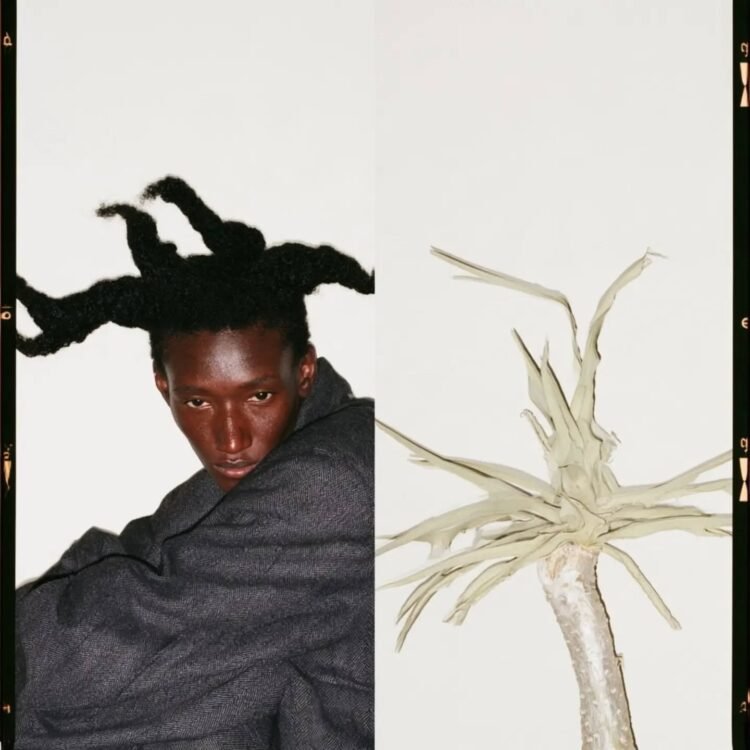 Botanical Doppelgängers 14