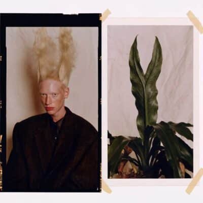 Botanical Doppelgängers 02