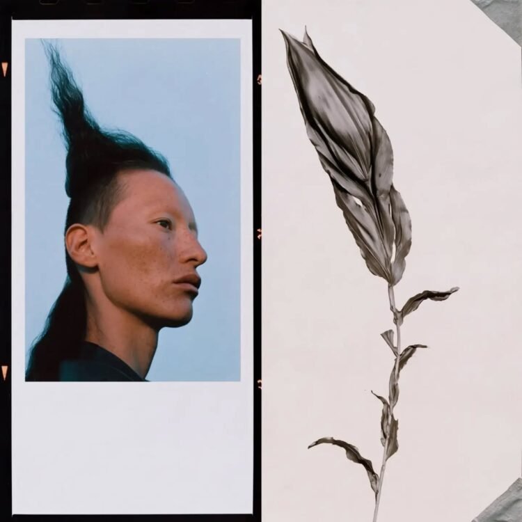 Botanical Doppelgängers 06