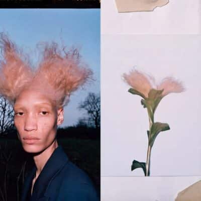 Botanical Doppelgängers 03