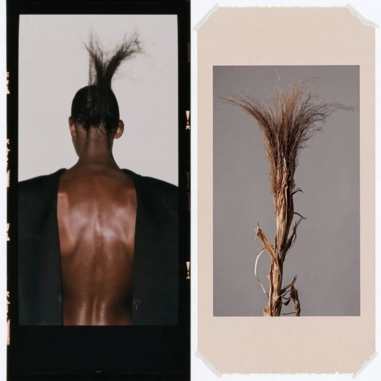 Botanical Doppelgängers 16