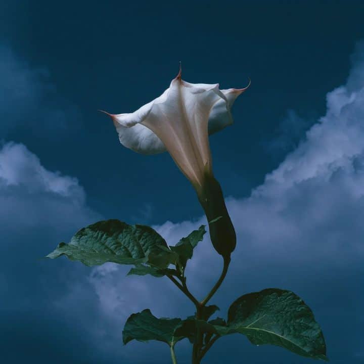 Ode to September 01