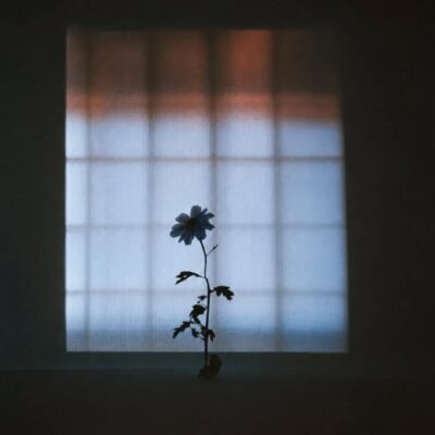 Dreamscape Reflections 02