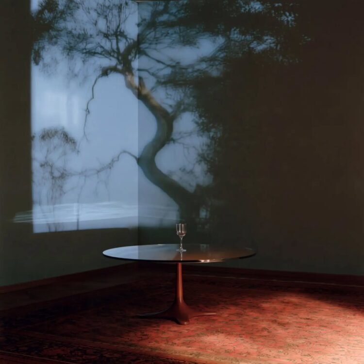 Dreamscape Reflections 04